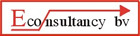 Econsultancy