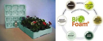 BioFoam: het eerste composteerbare schuim met bijzondere eigenschappen